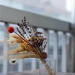 Apartman Doux Refuge - Au Coeur De *